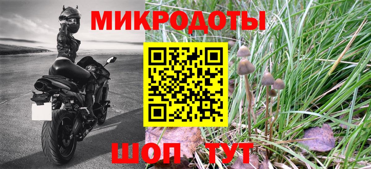Мурино  Галлюциногенные грибы Psilocybe  Вход с VPN  Галлюциногенные грибы прущие грибы 